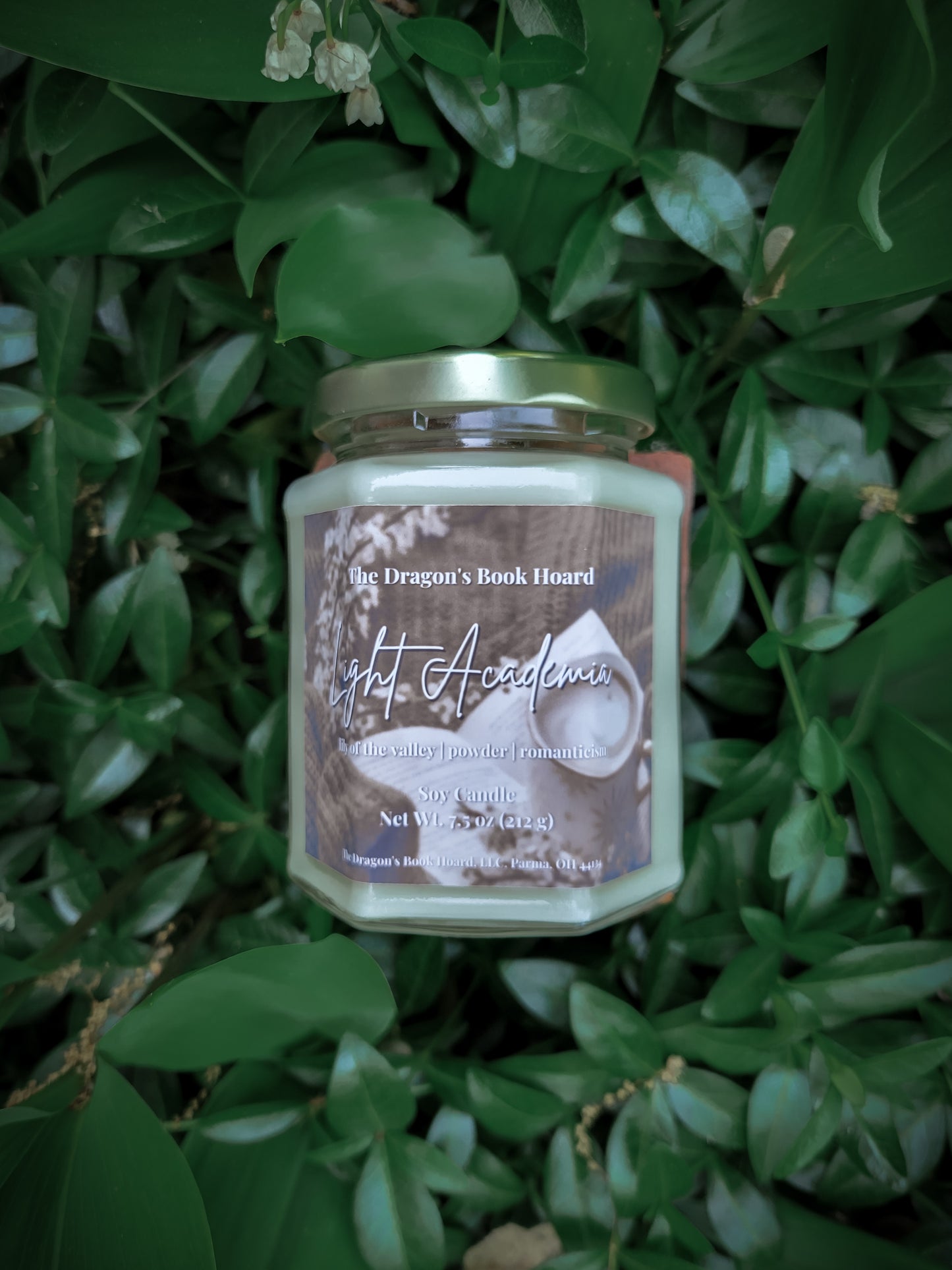 Light Academia - 7.5 oz Candle