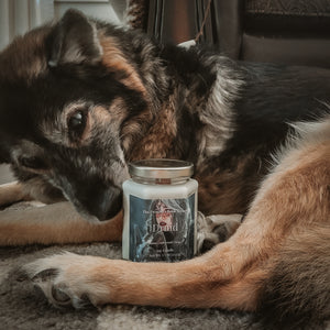 Druid - 7.5oz Candle