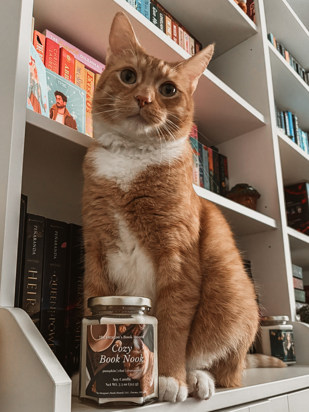 Cozy Book Nook - 7.5 Candle